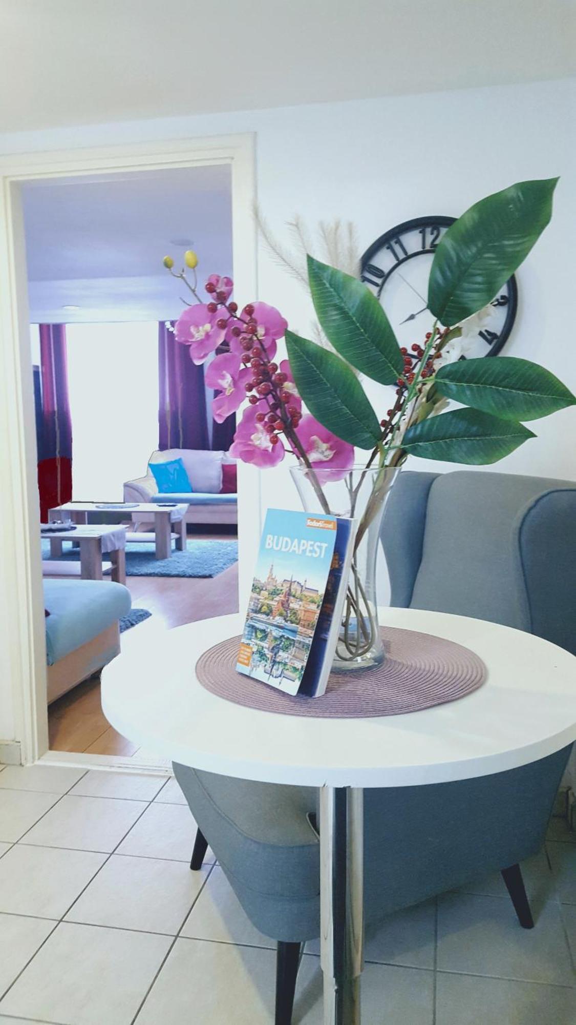 Downtown Acacia Str Apartment 布达佩斯 外观 照片